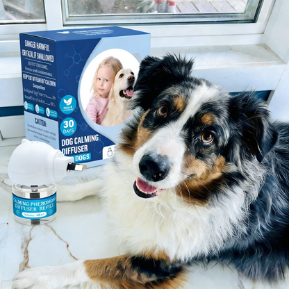 Dogs Calming Diffuser Kit